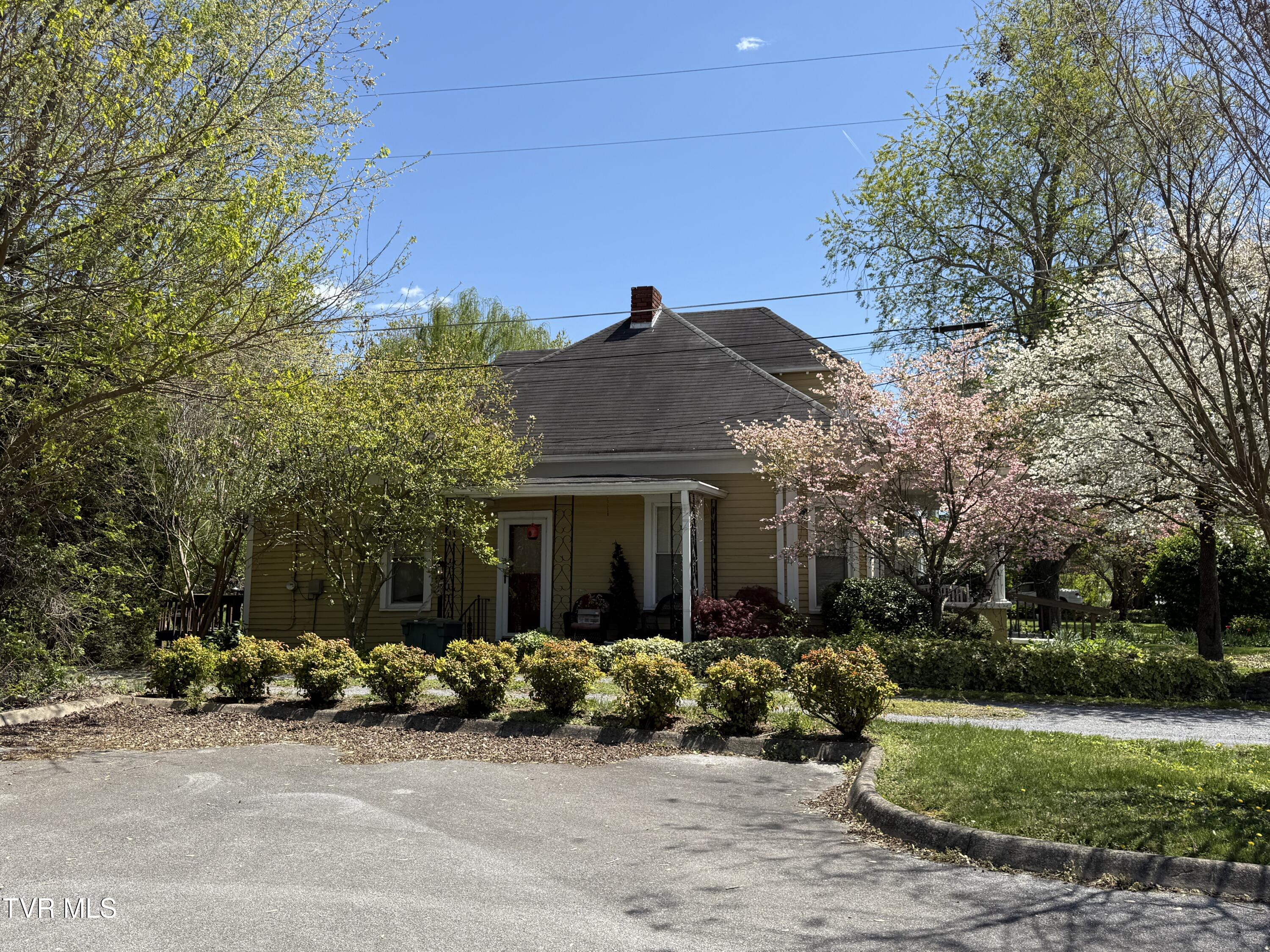 214 Sycamore Street, Elizabethton, Tennessee image 8