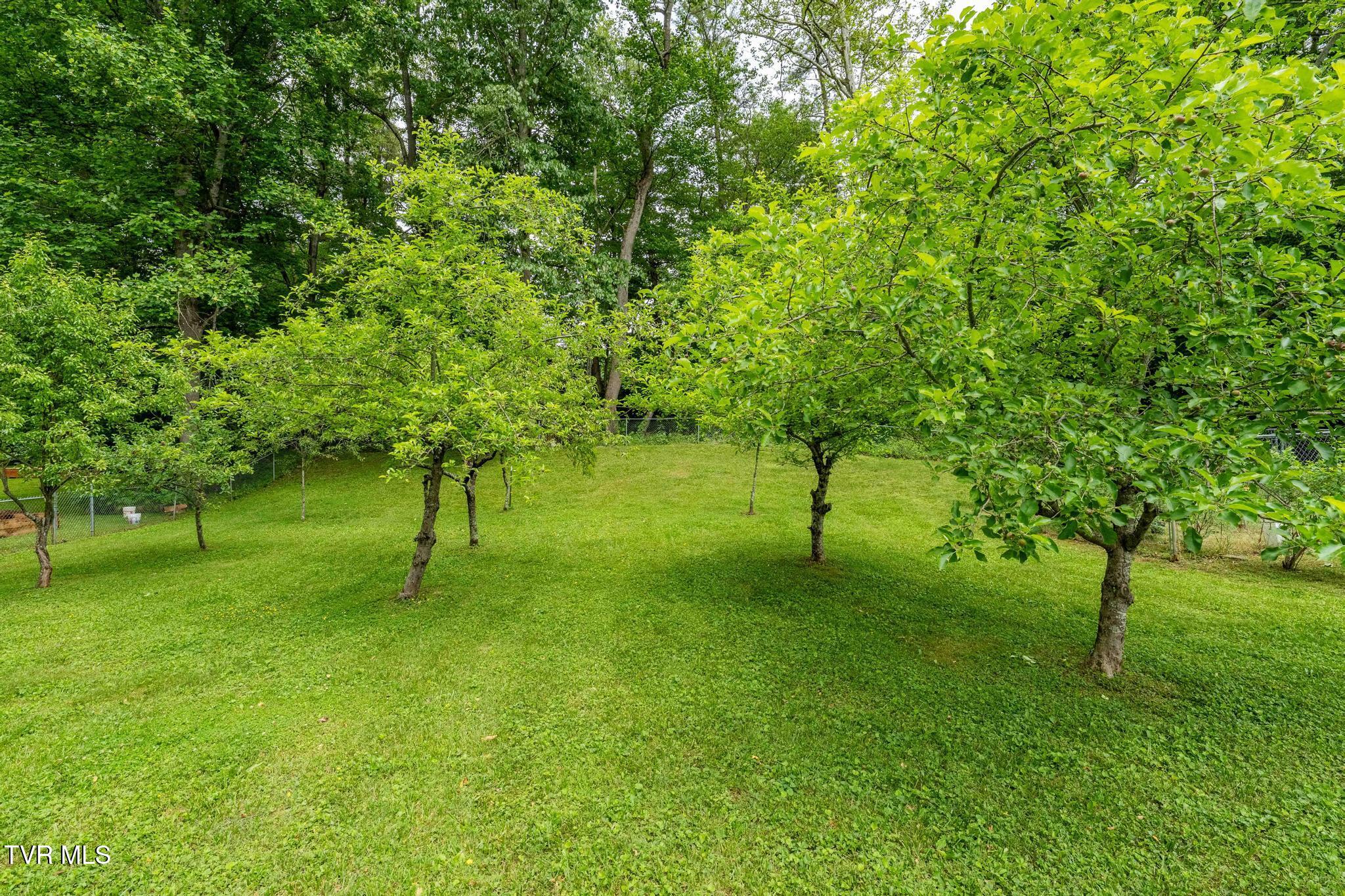1867 Gentry Creek Road, Laurel Bloomery, Tennessee image 34