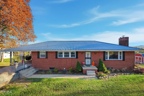 Photo of 432 Dogwood Street, Mount Carmel, TN 37645 (MLS # 9988067)