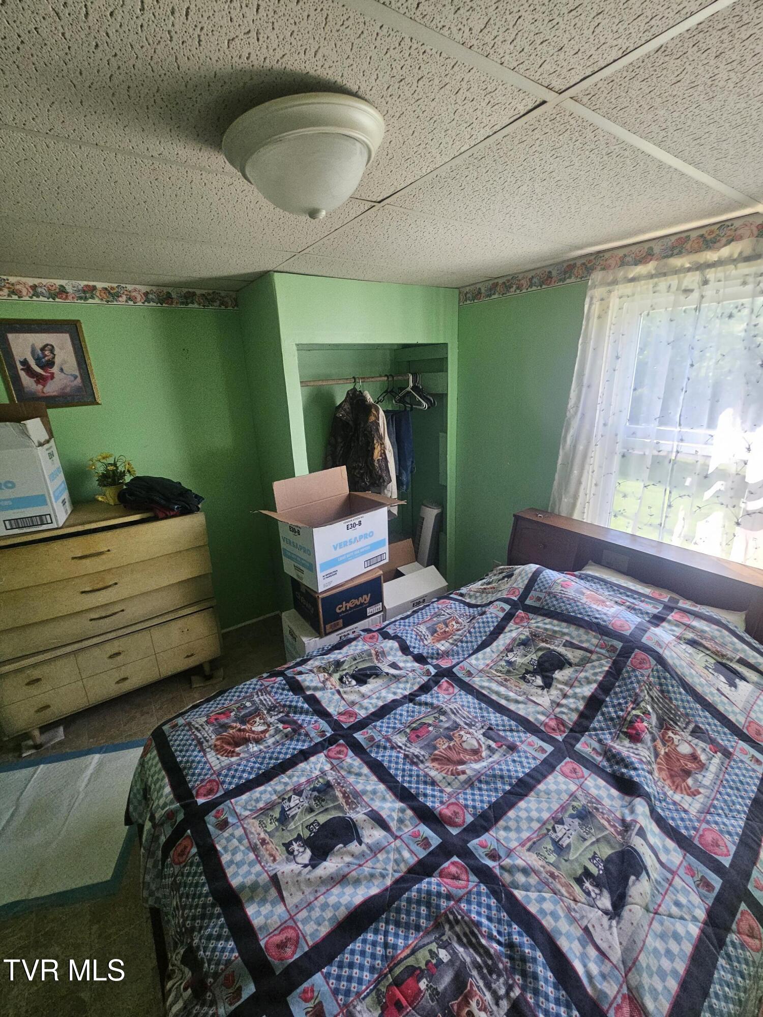 406 Banks Street, Greeneville, Tennessee image 24