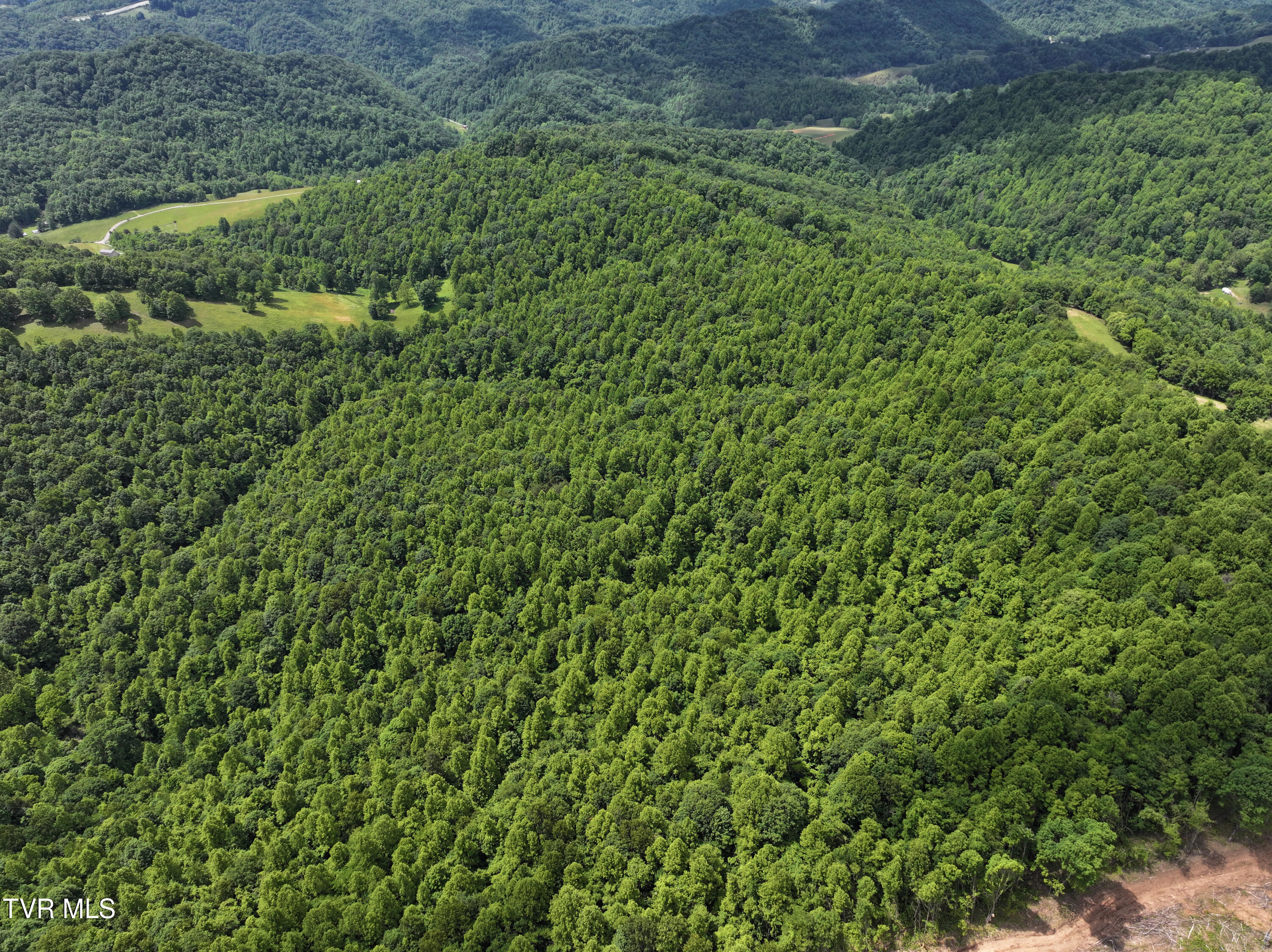 000 Goode Hollow Road, Duffield, Virginia image 9