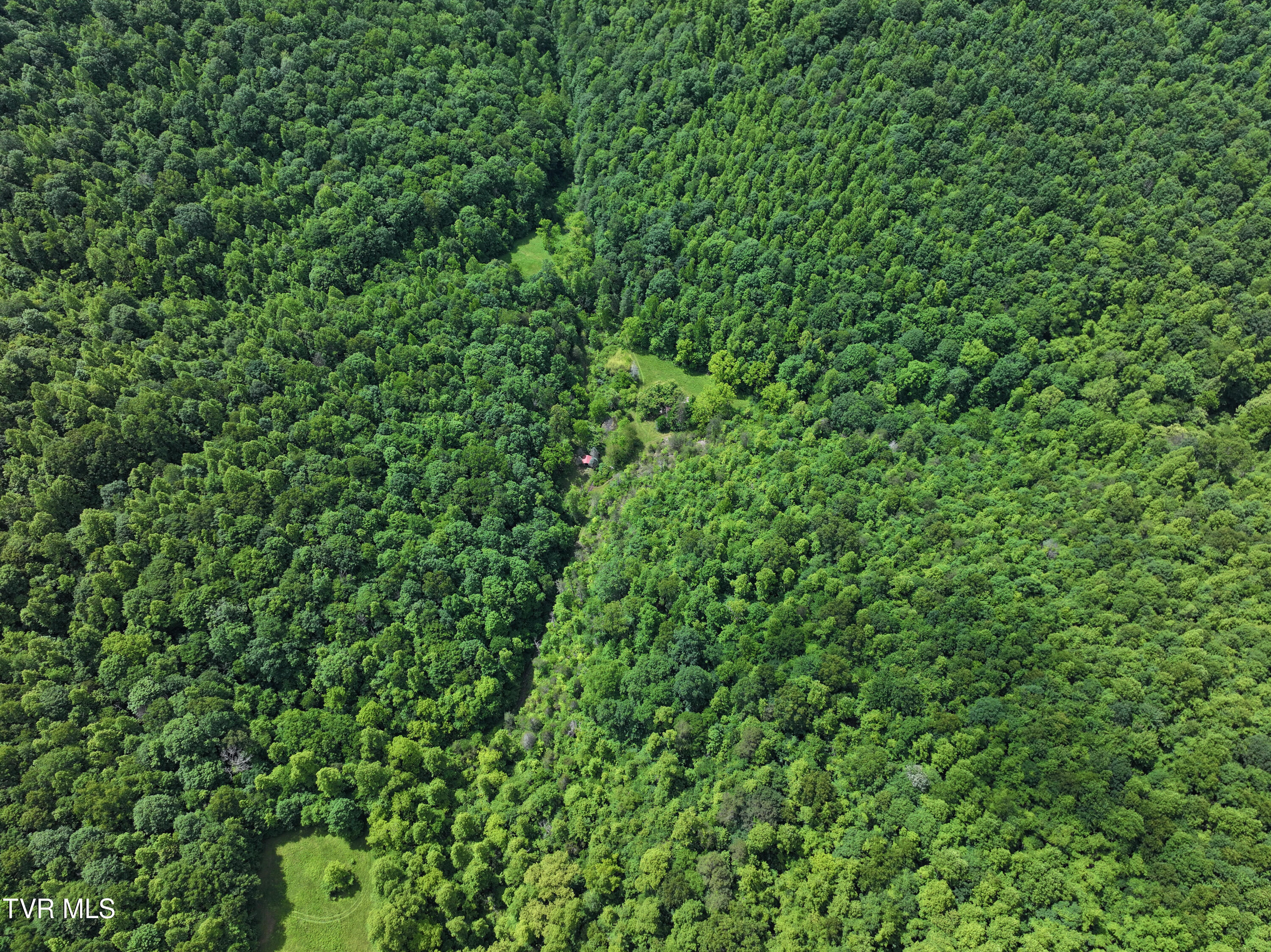 000 Goode Hollow Road, Duffield, Virginia image 14