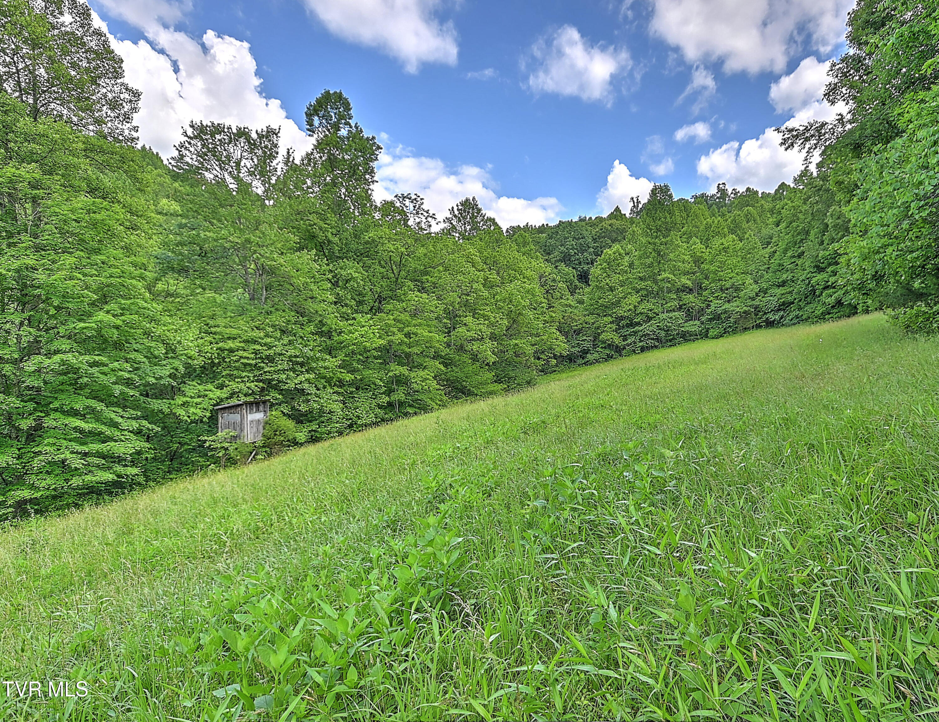 000 Goode Hollow Road, Duffield, Virginia image 17