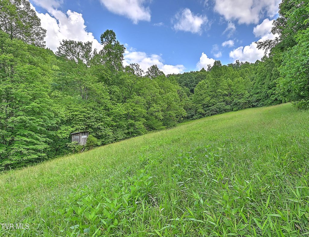 Photo of 000 Goode Hollow Road, Duffield, VA 24244 (MLS # 9966656)