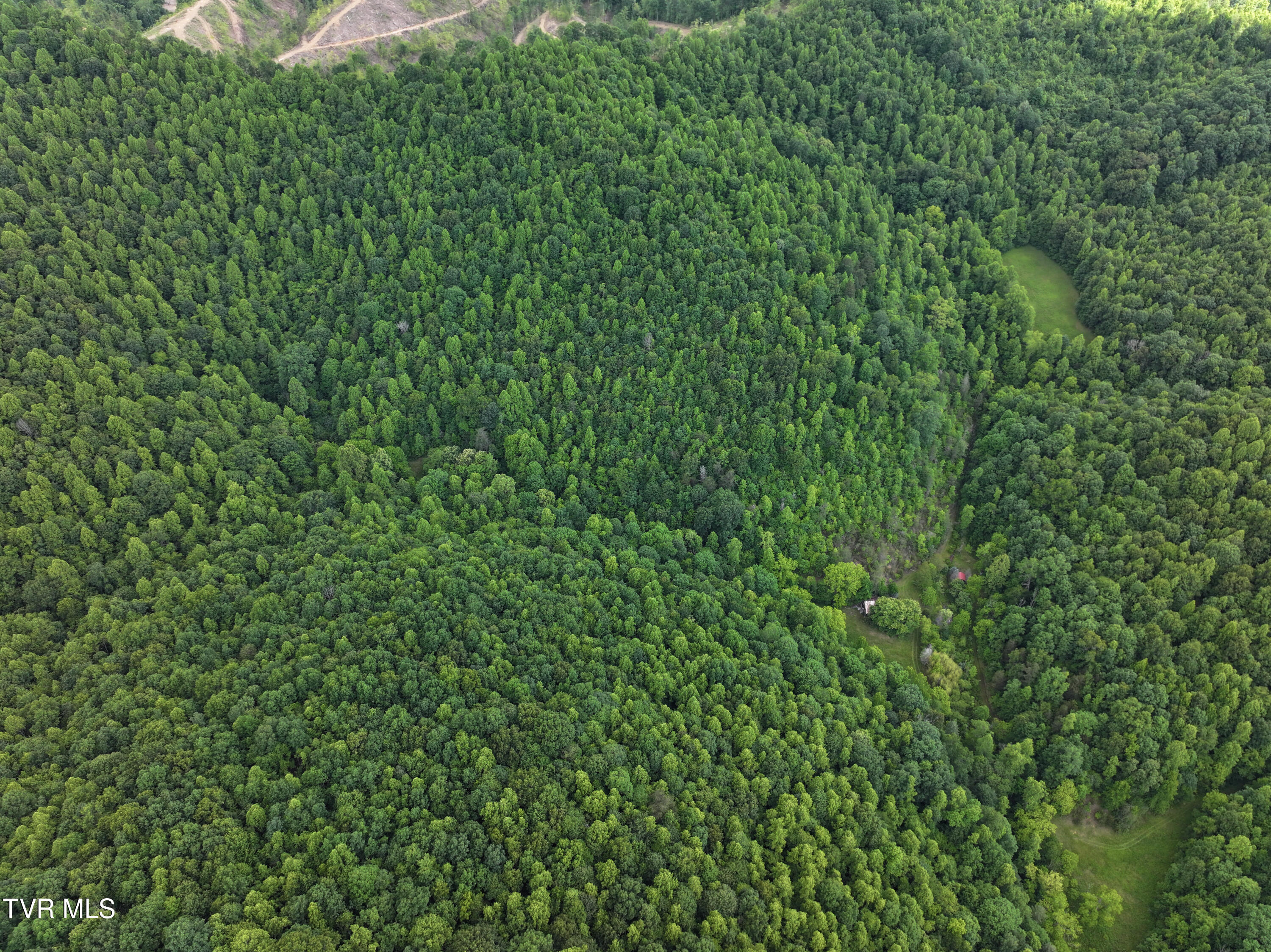 000 Goode Hollow Road, Duffield, Virginia image 38