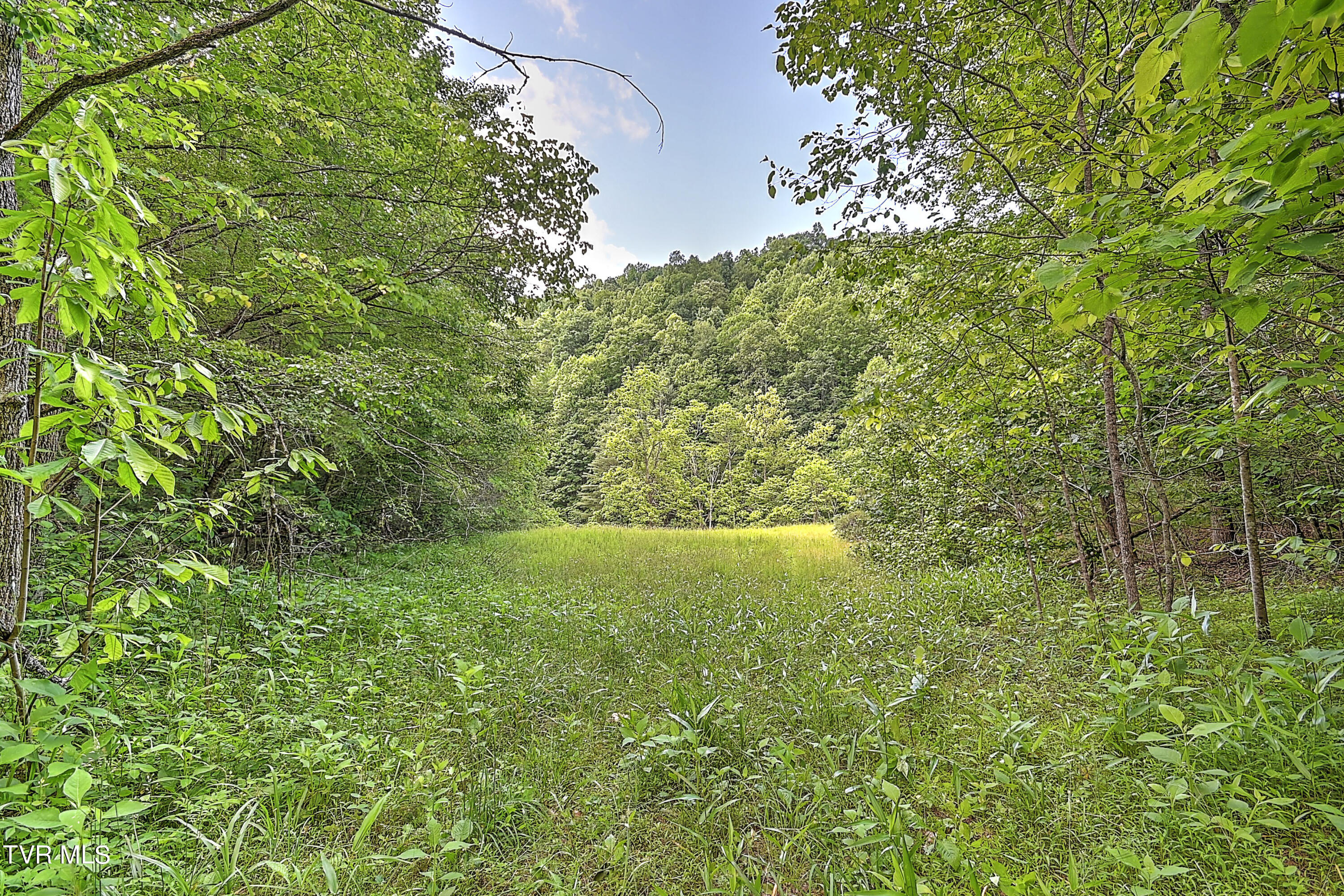 000 Goode Hollow Road, Duffield, Virginia image 16