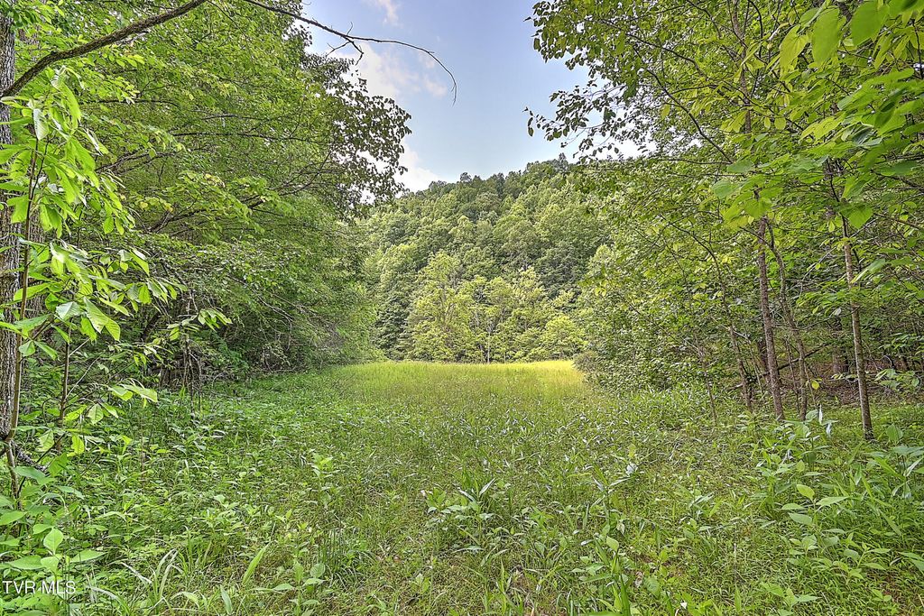 Photo of 000 Goode Hollow Road, Duffield, VA 24244 (MLS # 9966656)