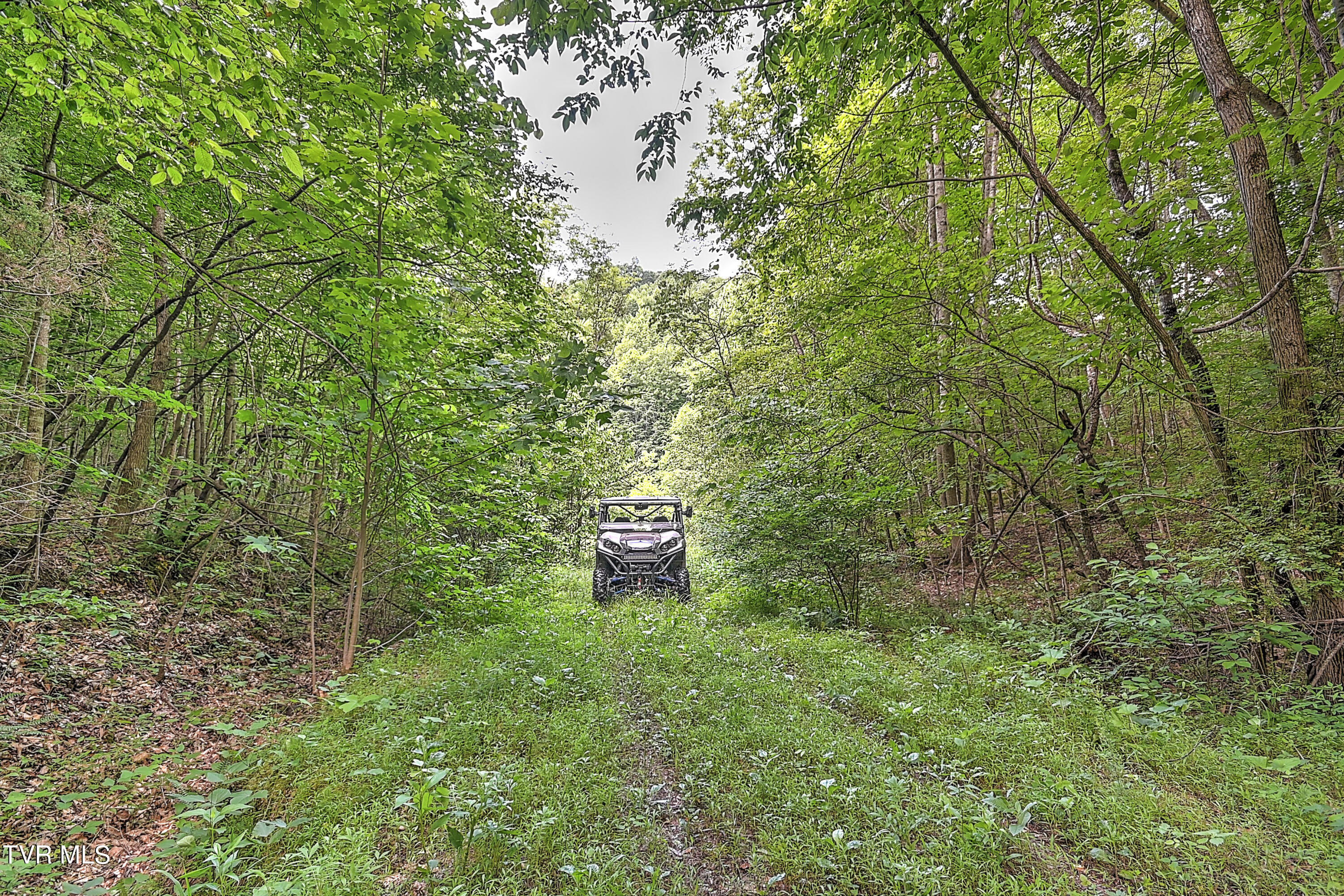 000 Goode Hollow Road, Duffield, Virginia image 36