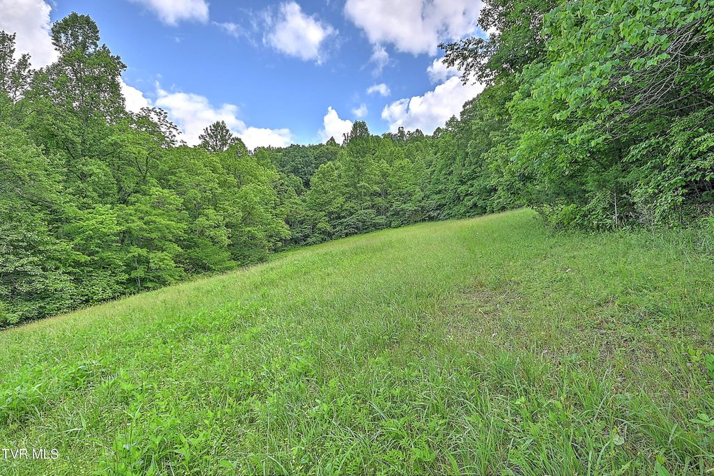 Photo of 000 Goode Hollow Road, Duffield, VA 24244 (MLS # 9966656)