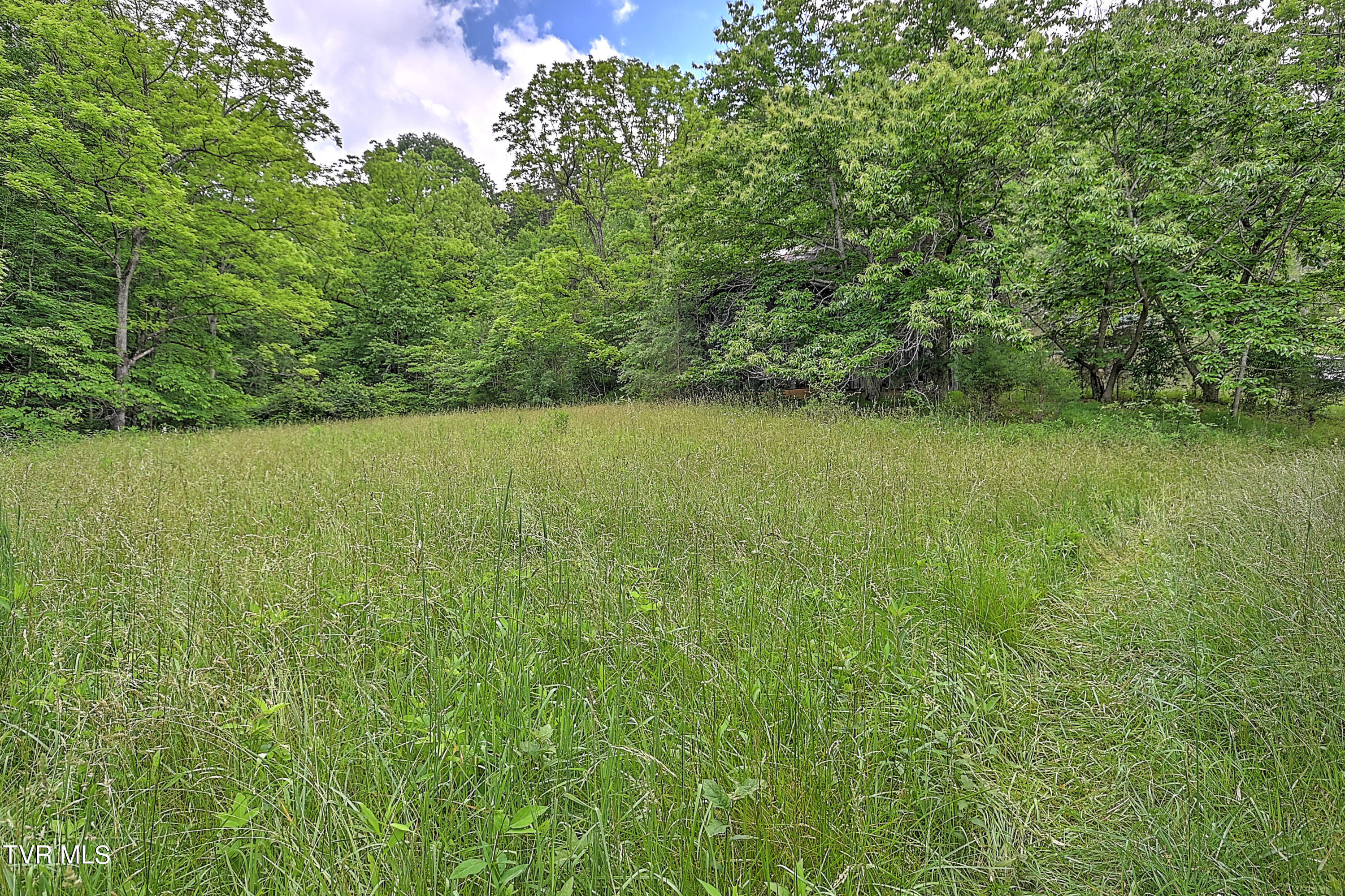 000 Goode Hollow Road, Duffield, Virginia image 19