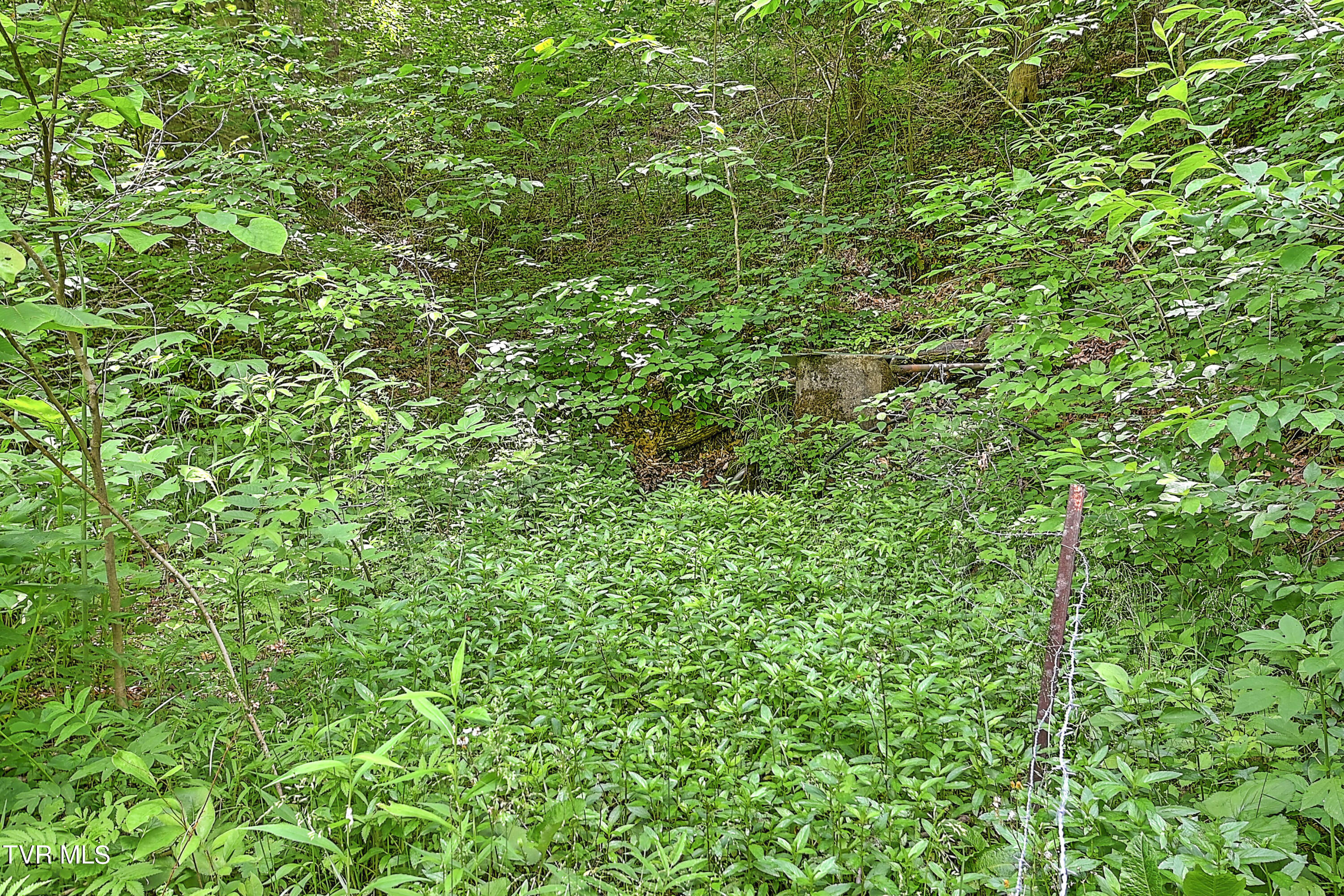 000 Goode Hollow Road, Duffield, Virginia image 33