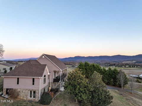 3706 Salem Rd Parrottsville TN 37843