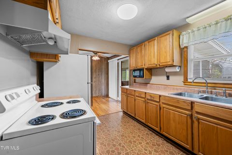 Tiny photo for 210 Circle Road, Bristol, TN 37620 (MLS # 9986433)
