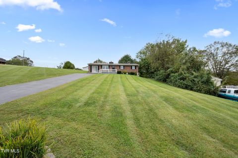 Tiny photo for 210 Circle Road, Bristol, TN 37620 (MLS # 9986433)