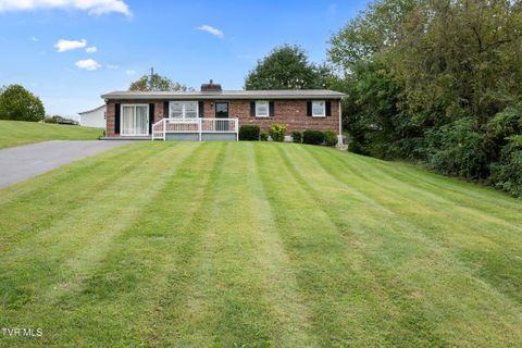 Tiny photo for 210 Circle Road, Bristol, TN 37620 (MLS # 9986433)