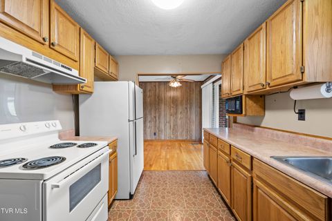 Tiny photo for 210 Circle Road, Bristol, TN 37620 (MLS # 9986433)
