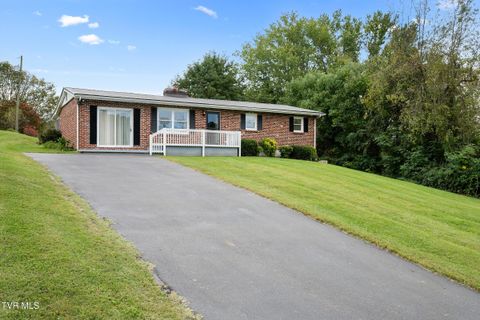 Photo of 210 Circle Road, Bristol, TN 37620 (MLS # 9986433)