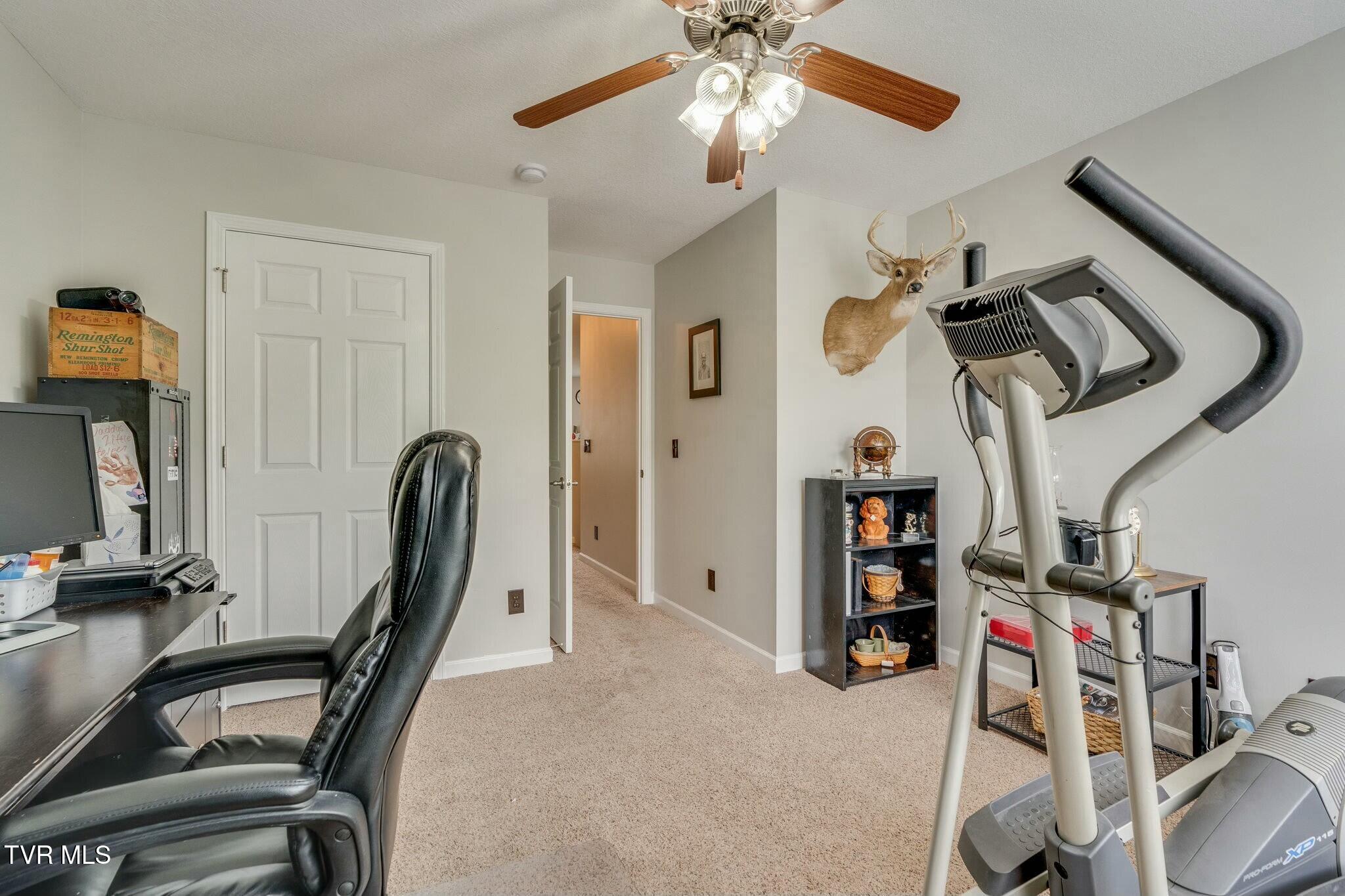 247 Pembrooke Circle, Jonesborough, Tennessee image 30