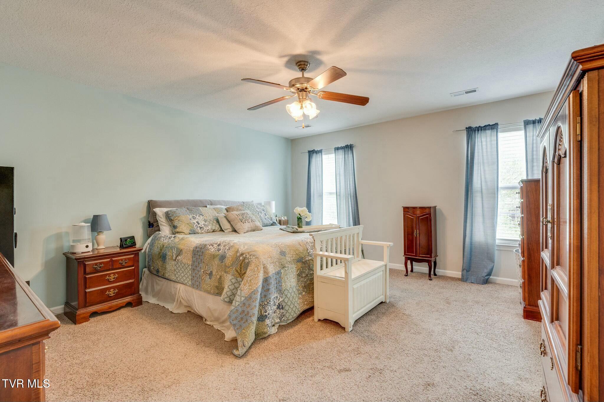 247 Pembrooke Circle, Jonesborough, Tennessee image 21
