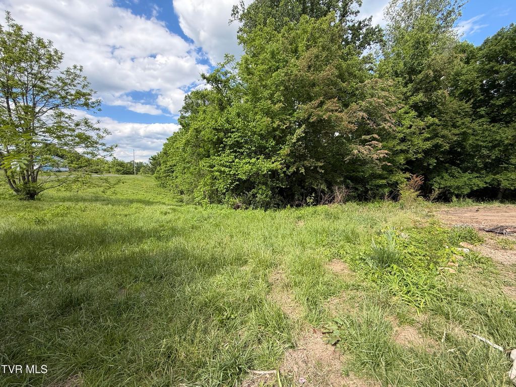 Photo of 316 Wiley Town Road, Newport, TN 37821 (MLS # 9995041)