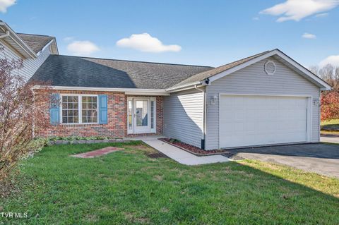 Homes For Sale - 16311 Chase Lane Lane<br/> Abingdon, VA 24210