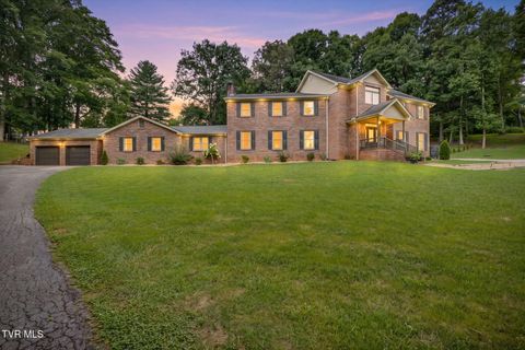 Photo of 45 Link Hills Circle, Greeneville, TN 37743 (MLS # 9998694)