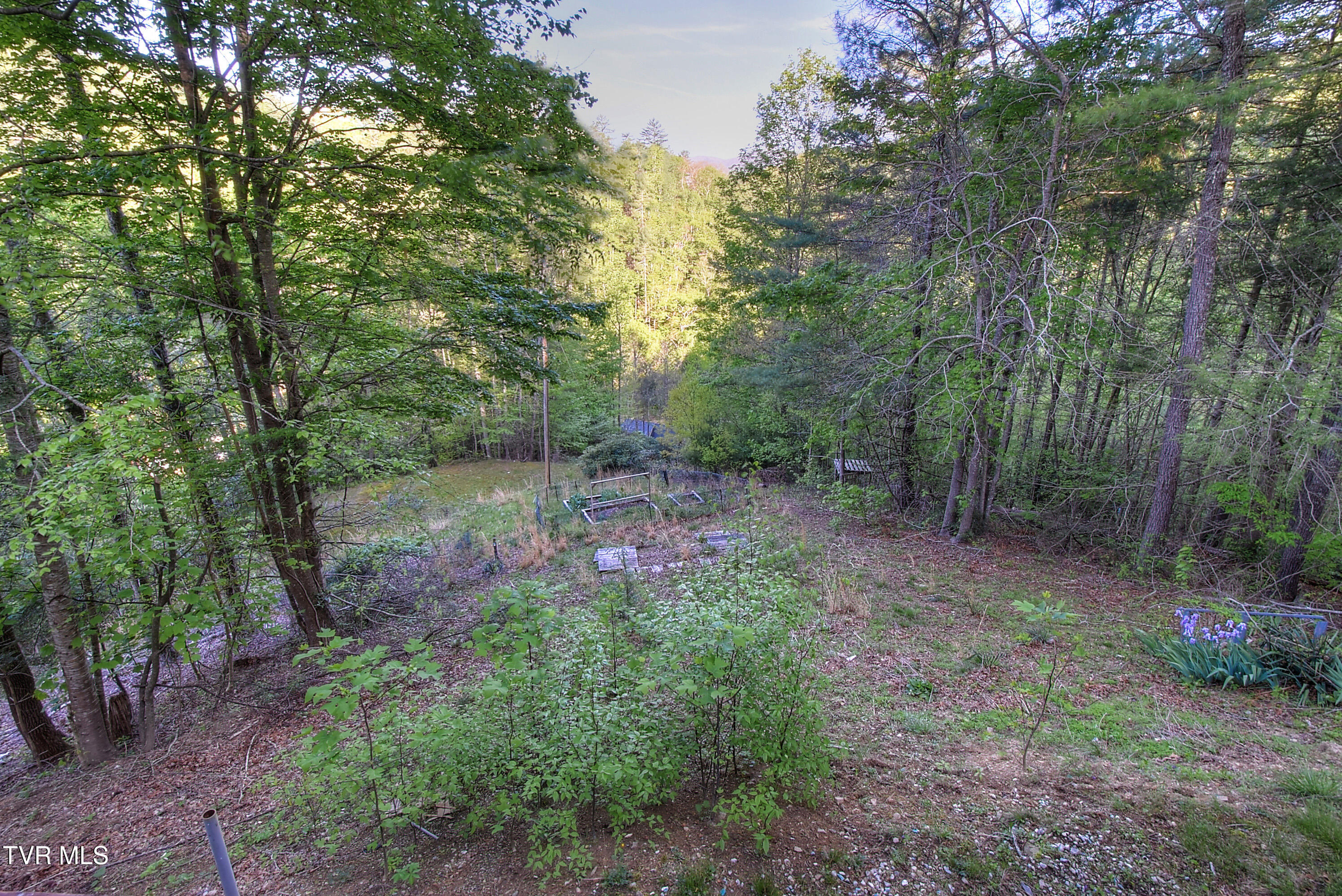 106 Chandler Cove Road, Erwin, Tennessee image 41