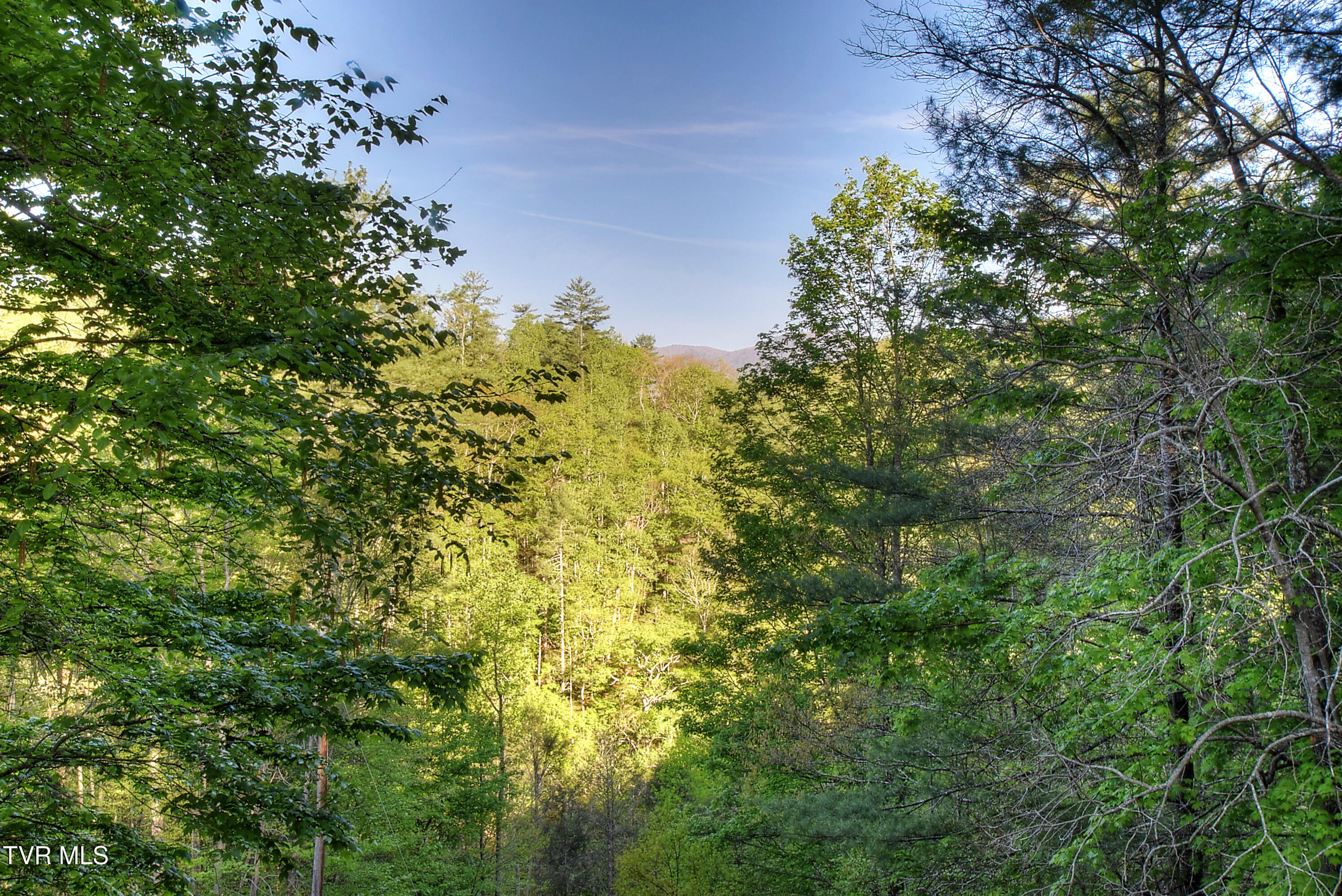 106 Chandler Cove Road, Erwin, Tennessee image 39