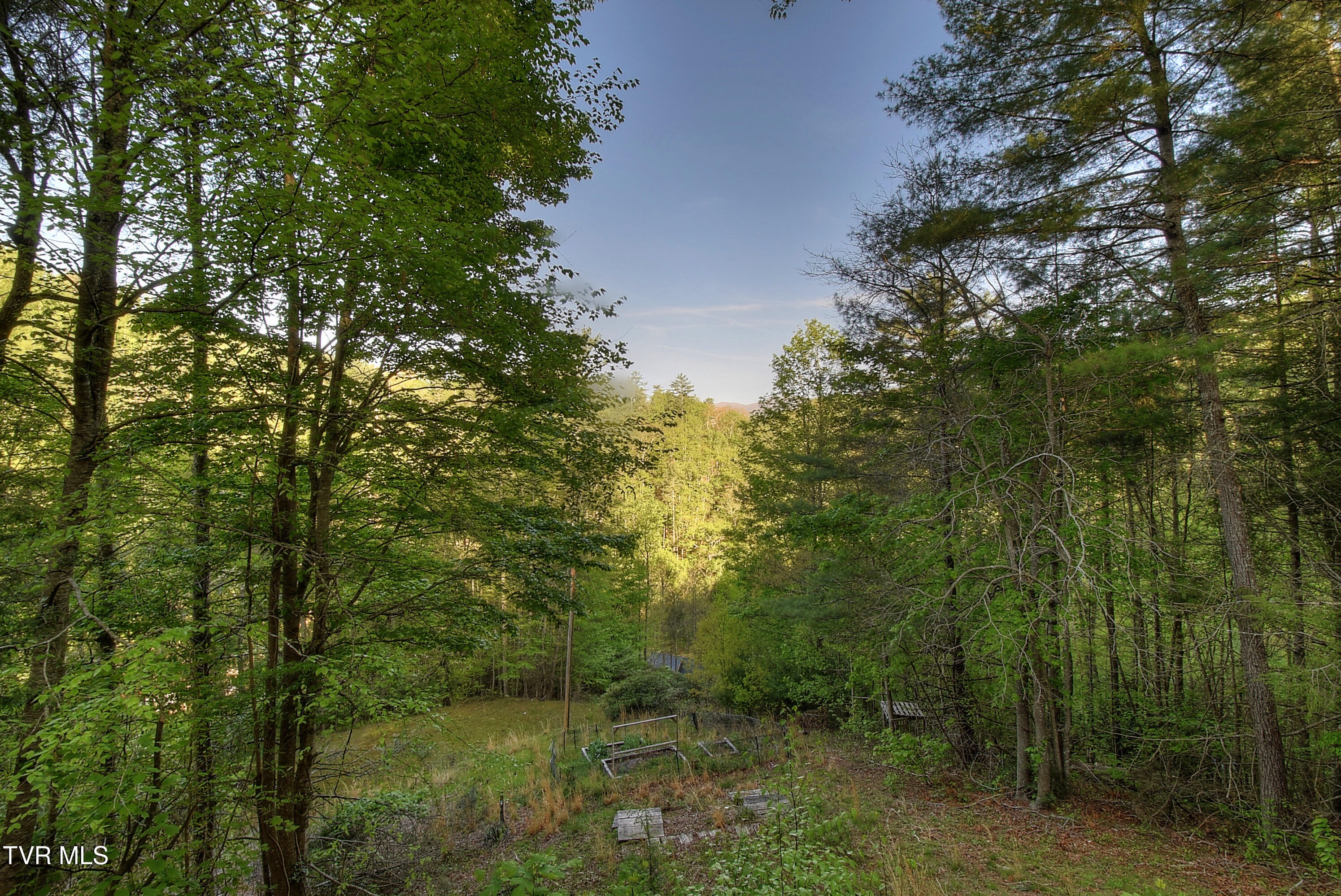 106 Chandler Cove Road, Erwin, Tennessee image 40