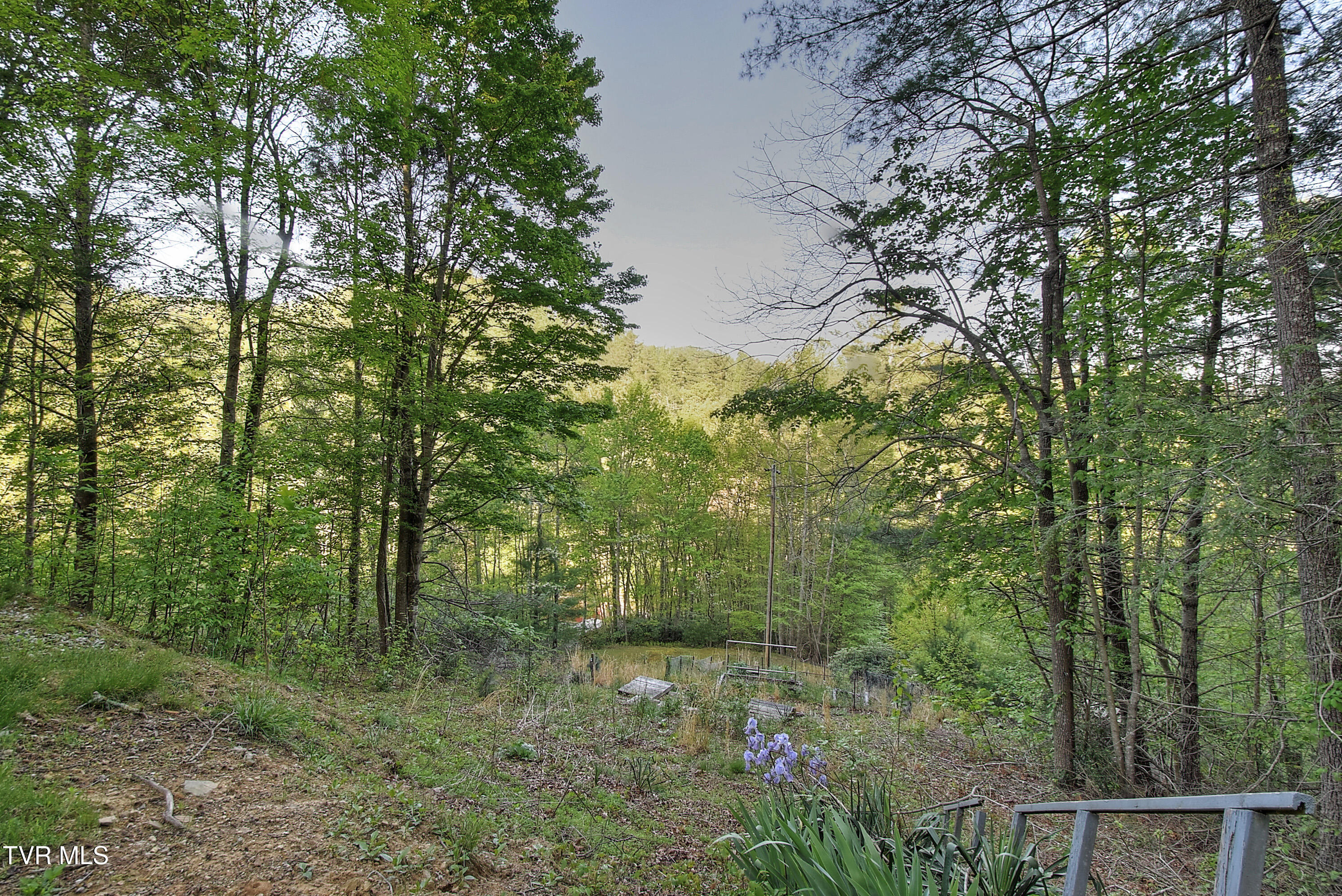 106 Chandler Cove Road, Erwin, Tennessee image 32