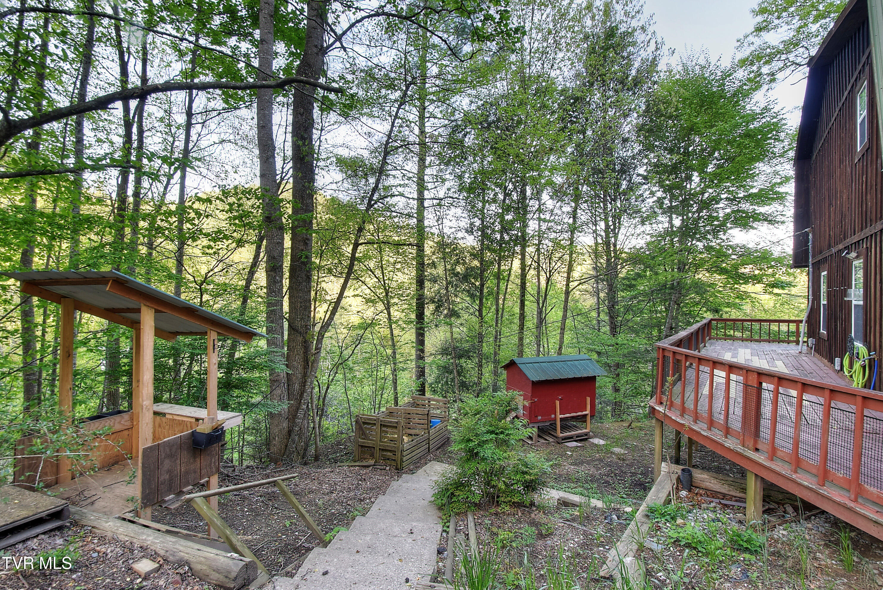 106 Chandler Cove Road, Erwin, Tennessee image 4