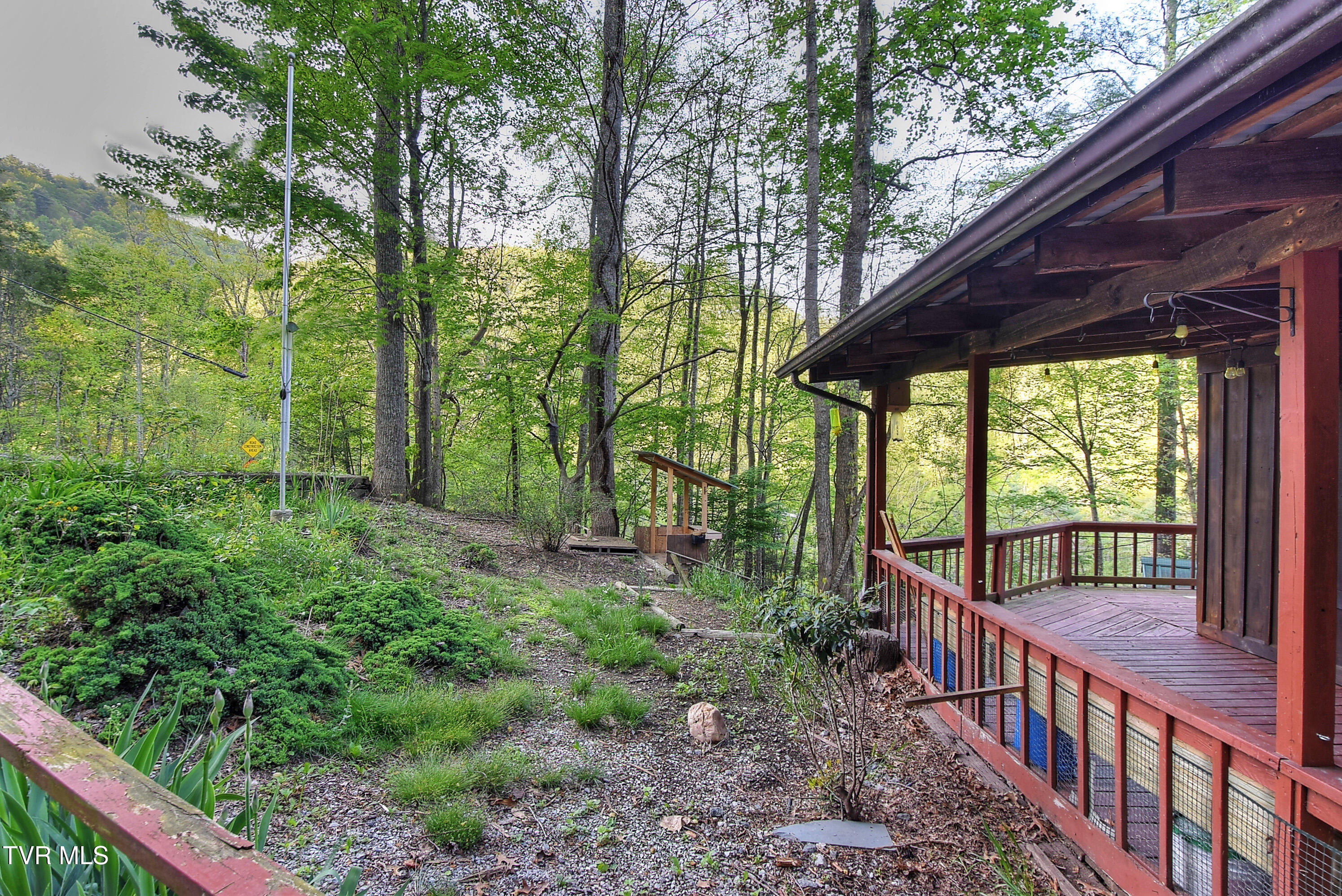 106 Chandler Cove Road, Erwin, Tennessee image 3