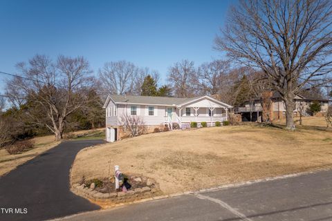 Photo of 100 Mingo Trail, Greeneville, TN 37743 (MLS # 9990189)