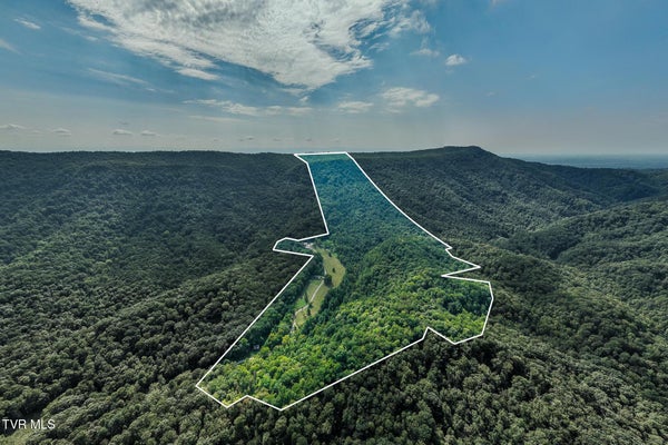 280 MCMILLIAN RD, ROGERSVILLE, TN 37857 - Image c8f5220d73b3e0ee131b3fad9cc3f7f9/2365666205