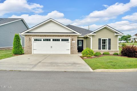 Photo of 118 Gunners Way, Gray, TN 37615 (MLS # 9992078)