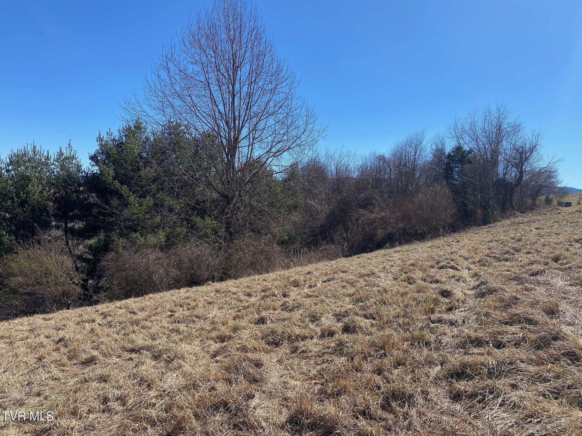 Tbd Azure Lane, Abingdon, Virginia image 10