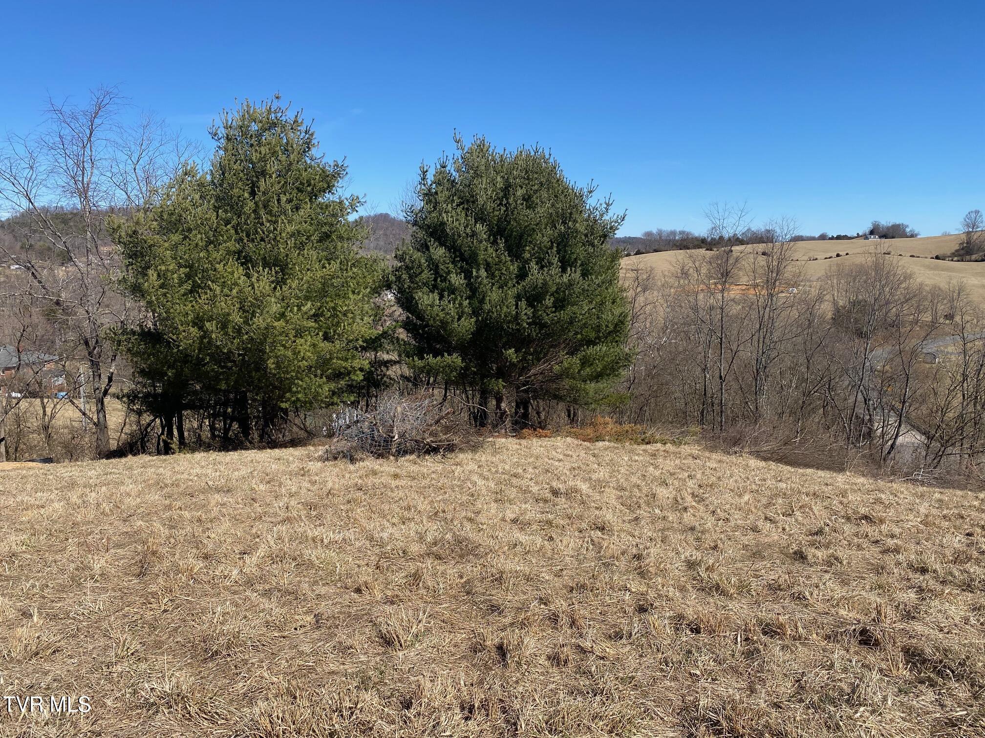 Tbd Azure Lane, Abingdon, Virginia image 6