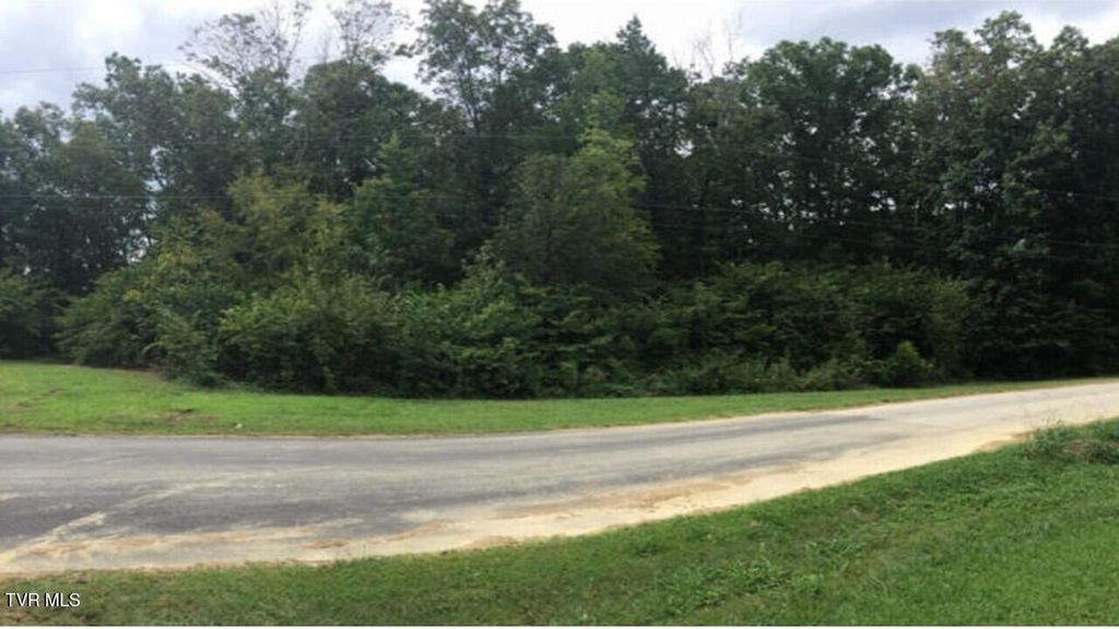 Photo of 25 Johnson Hollow Lane, Greeneville, TN 37745 (MLS # 9991135)