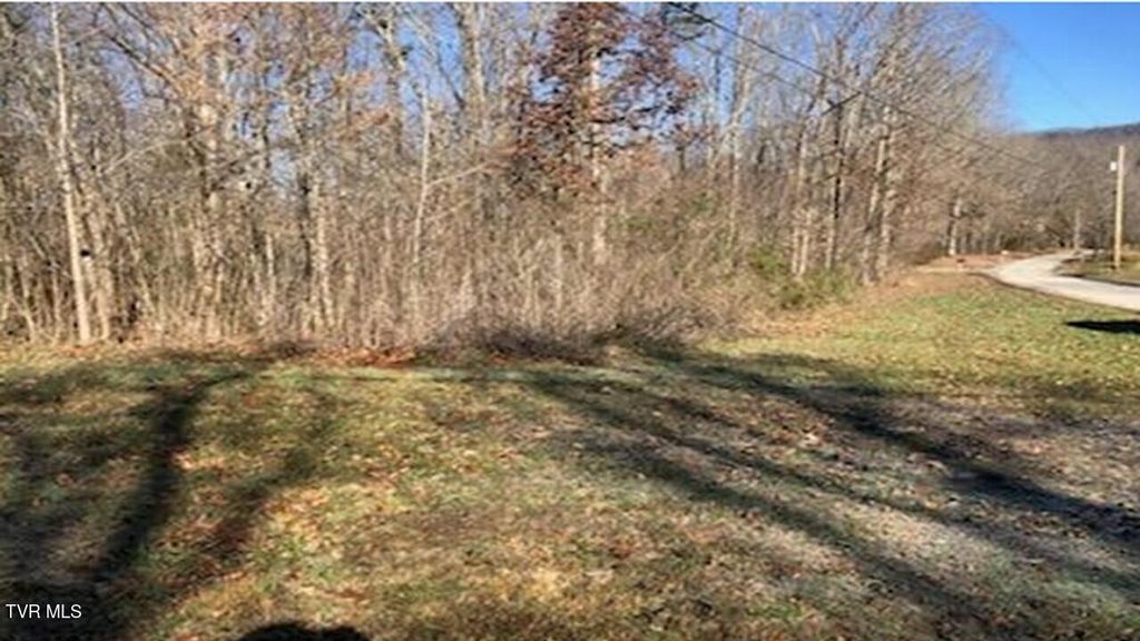 Photo of 25 Johnson Hollow Lane, Greeneville, TN 37745 (MLS # 9991135)