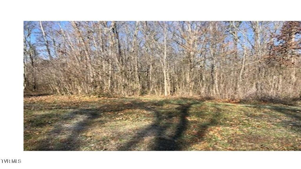 Photo of 25 Johnson Hollow Lane, Greeneville, TN 37745 (MLS # 9991135)