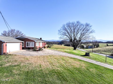Photo of 440 Walkertown Road, Afton, TN 37616 (MLS # 9988832)