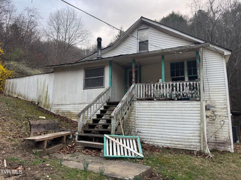 Homes For Sale - 195 Hanging Tree Road<br/> Dickenson County, Dante, VA 24237