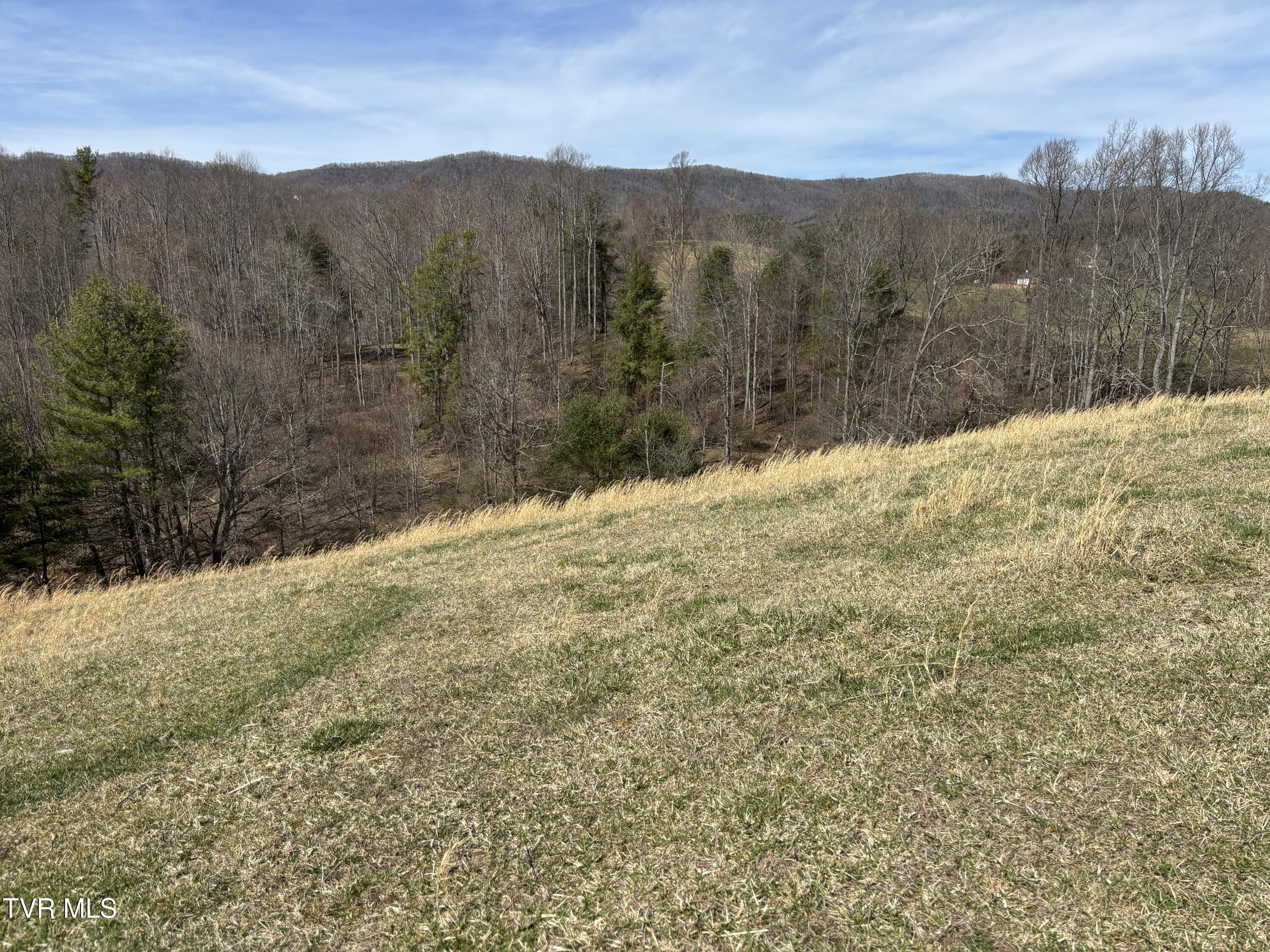 140 Dw Of Swift Road, Mountain City, Tennessee image 2