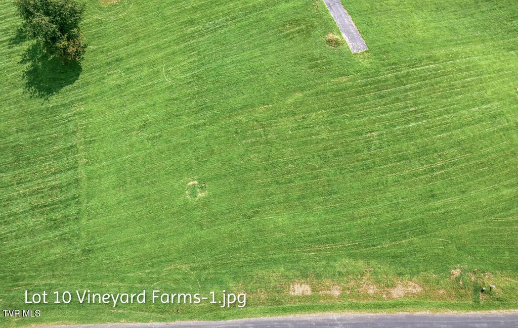 Photo of 10 Dry Hill Road, Butler, TN 37640 (MLS # 9985030)