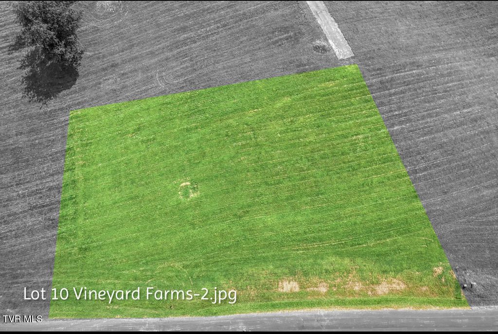 Photo of 10 Dry Hill Road, Butler, TN 37640 (MLS # 9985030)