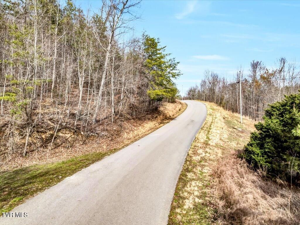 Photo of 553 Whistle Valley Road, New Tazewell, TN 37825 (MLS # 9977870)