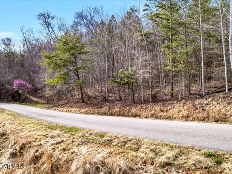 Vacant Land For Sale - LOT 553 Whistle Valley Road<br/> Claiborne County, New Tazewell, TN 37825