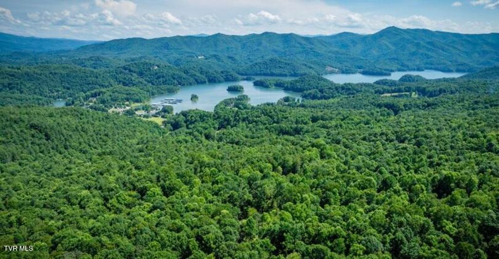 Photo of Tbd Black Bear Drive, Butler, TN 37640 (MLS # 9989721)