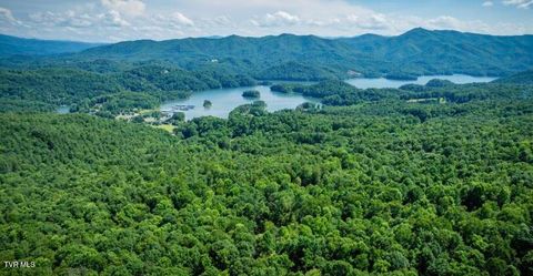 Vacant Land For Sale - TBD Black Bear Drive<br/> Carter County, Butler, TN 37640