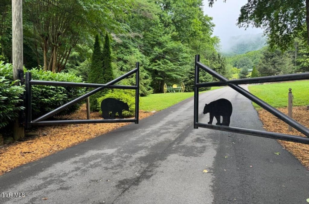 Photo of Tbd Black Bear Drive, Butler, TN 37640 (MLS # 9989721)